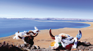 步步驚心 穿越羌塘無人區